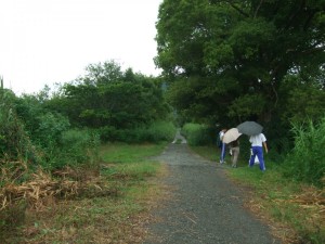 DSCF6668