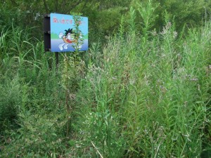 DSCF6728