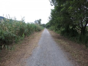 IMG_3706