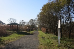 IMG_5567