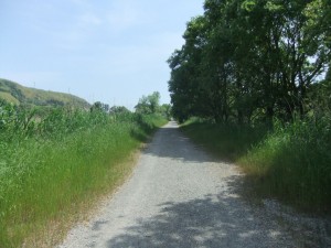 DSCF7401