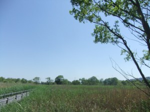 DSCF7489