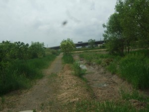 DSCF9538