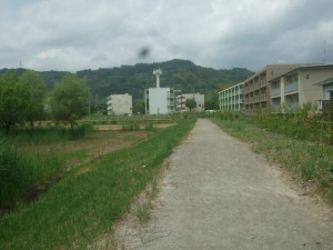 DSCF9539