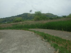 DSCF9540