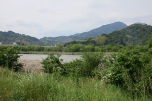 IMG_8358