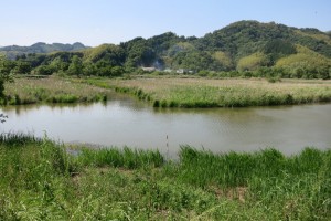 IMG_8386