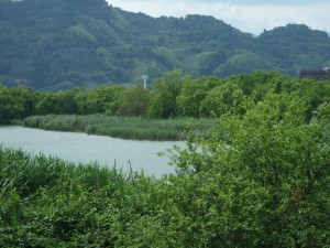 DSCF0138