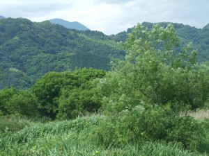DSCF0140