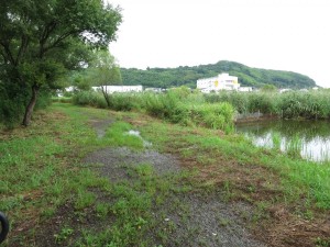 IMG_0015