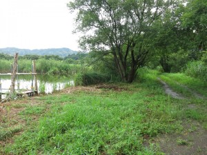 IMG_0016