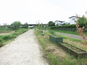 IMG_9052