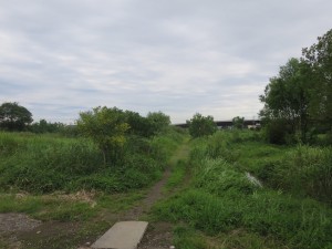 IMG_0051