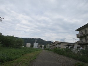 IMG_0053