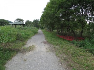 IMG_4195