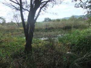 DSCF0193