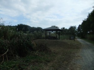 DSCF0198