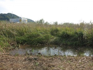 IMG_1646