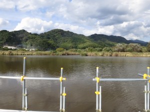 IMG_3558