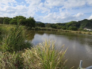 IMG_4787