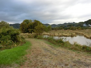 CIMG2696
