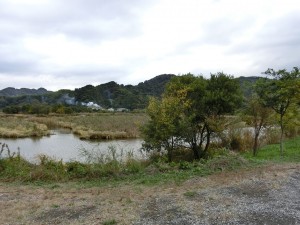 CIMG2697