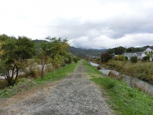 CIMG2698
