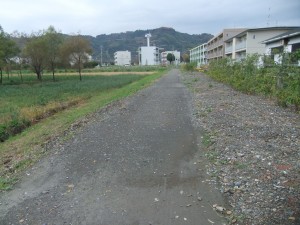 DSCF1191