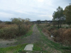 DSCF1194