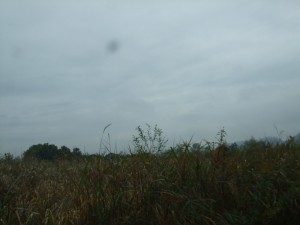 DSCF1245