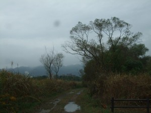 DSCF1246
