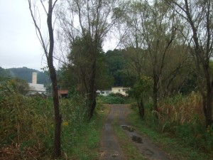 DSCF1247
