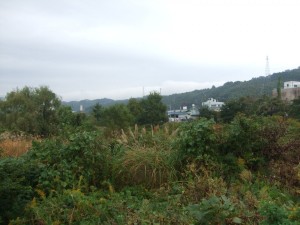 DSCF1413