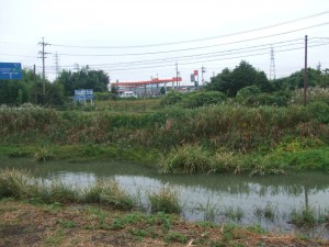 DSCF1415