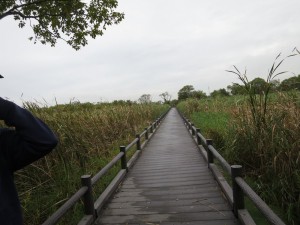IMG_0644