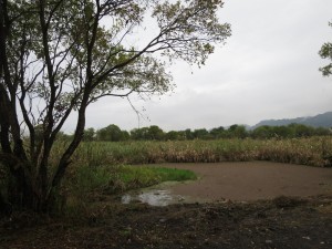 IMG_0645