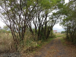 IMG_0647