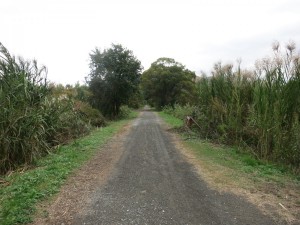 IMG_2045