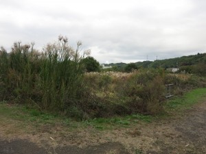 IMG_2047