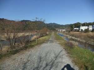 DSCF1553