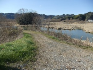 DSCF1554