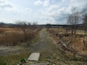 DSCF1922