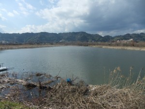 DSCF2011