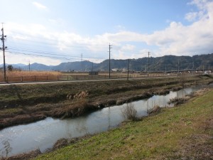 IMG_3702